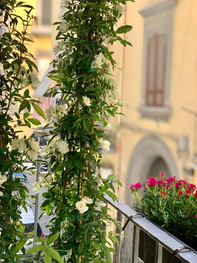Toledo Boutique Bed and breakfast *